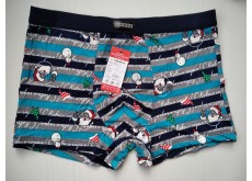 Детские трусы боксеры VERICOH happy new year бирюзовый полоса L 577